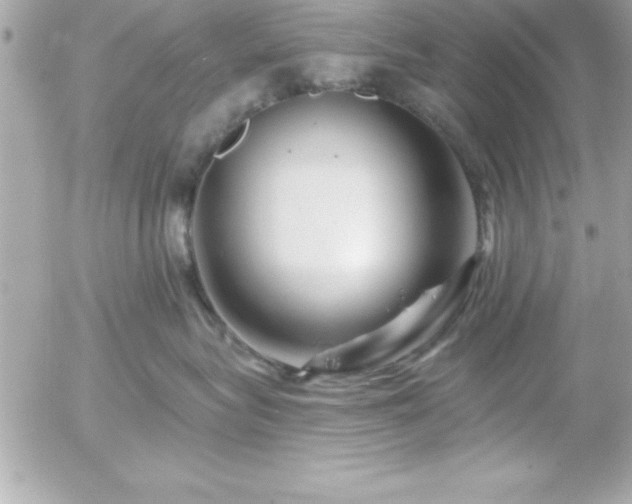 X0000055520575200508191549