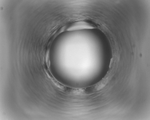 X0000055520576200508191549