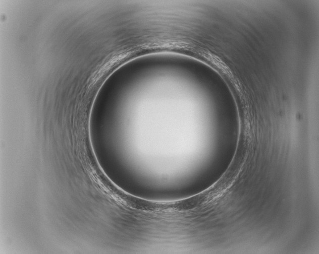 X0000055520577200508191548