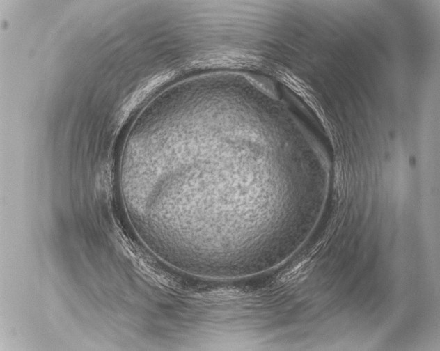 X0000055520578200508191548