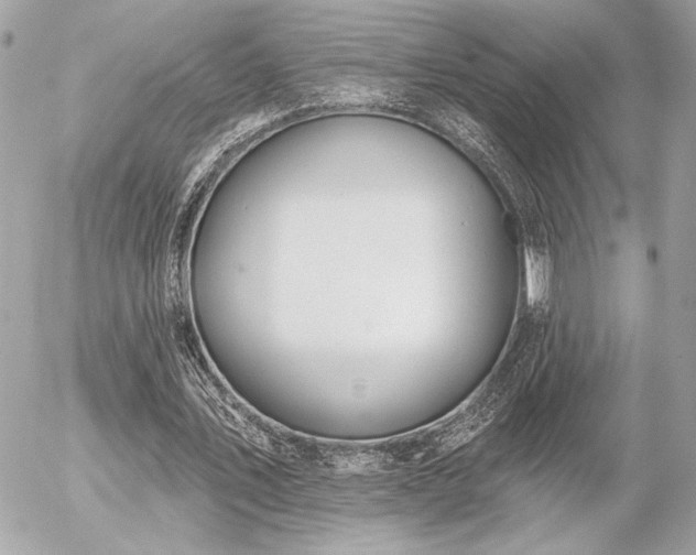 X0000055520579200508191548