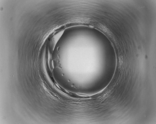 X0000055520580200508191548