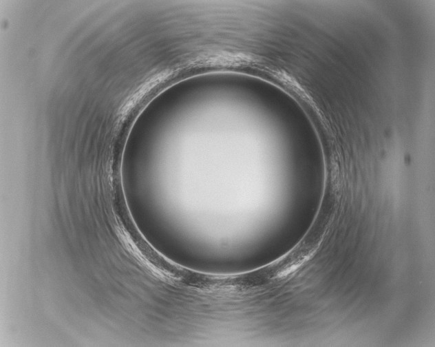 X0000055520581200508191548