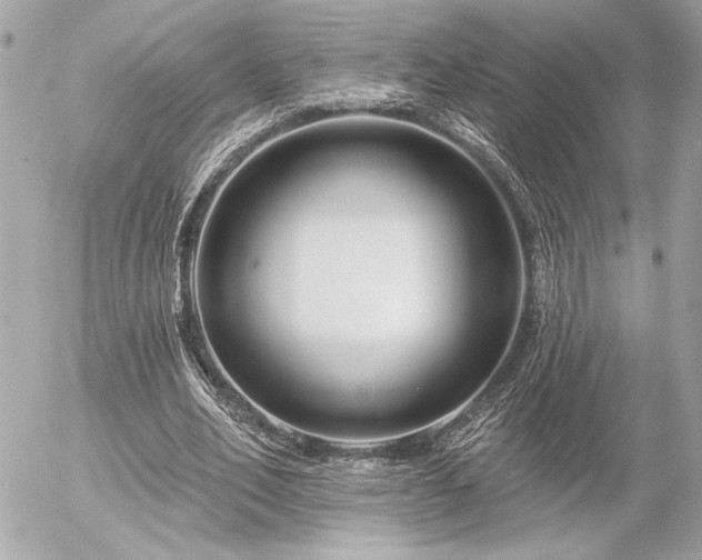 X0000055520582200508191548