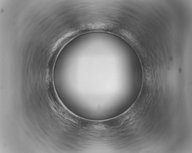 X0000055520583200508191548