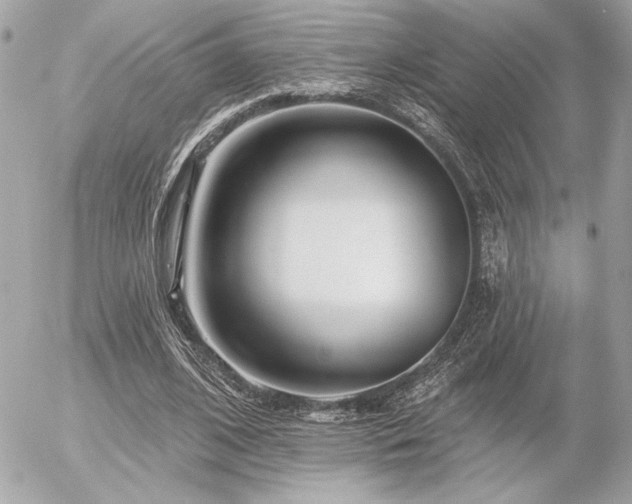 X0000055520584200508191548