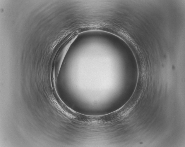 X0000055520585200508191548