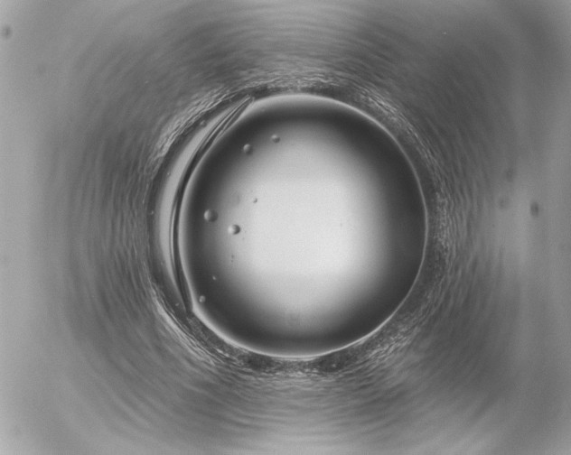 X0000055520586200508191548