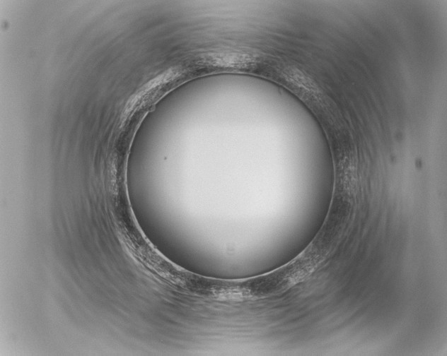 X0000055520587200508191548