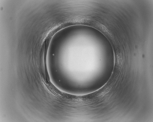 X0000055520588200508191548