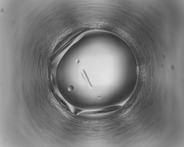 X0000055520589200508191548