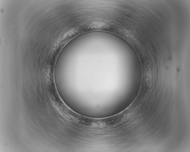 X0000055520591200508191548