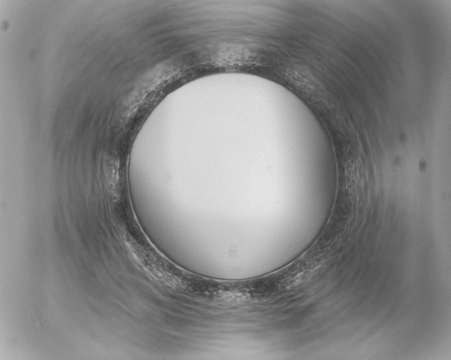 X0000055520592200508191548