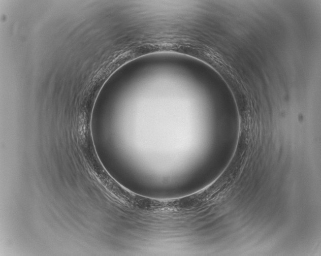 X0000055520593200508191548