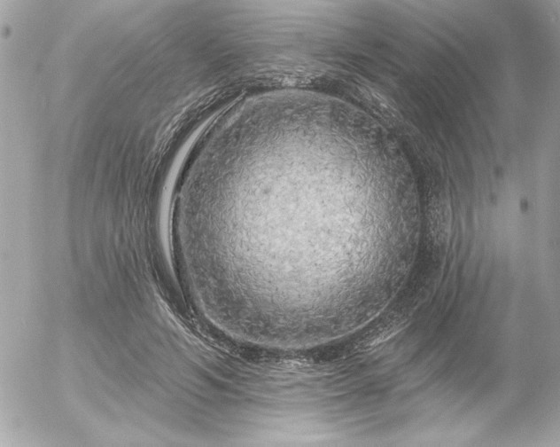 X0000055520594200508191548