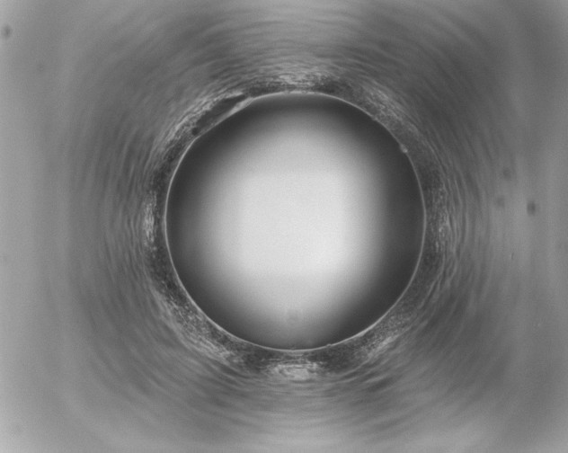 X0000055520595200508191548