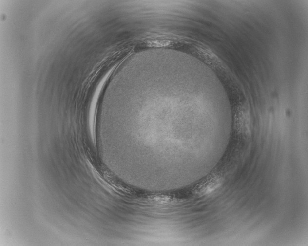 X0000055520598200508191547