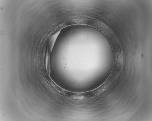 X0000055520602200508191547