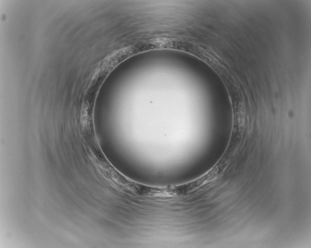 X0000055520611200508191547