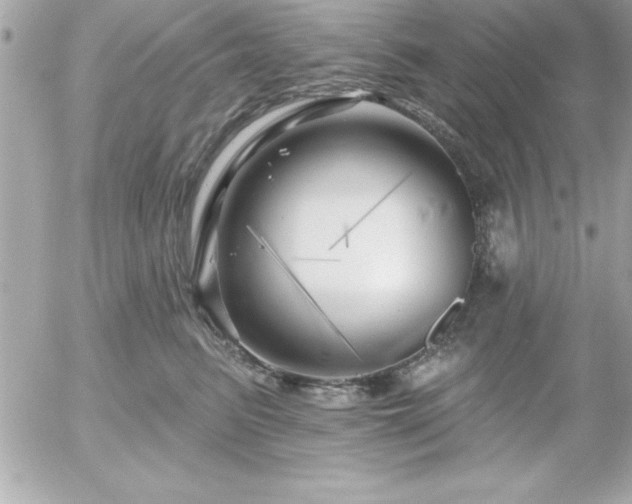 X0000055520615200508191547