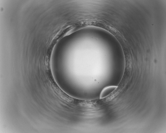 X0000055520661200508191547