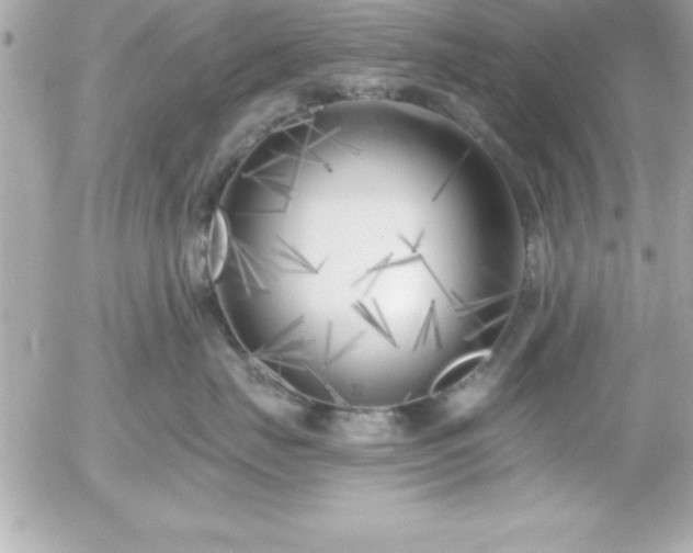 X0000055520671200508191547