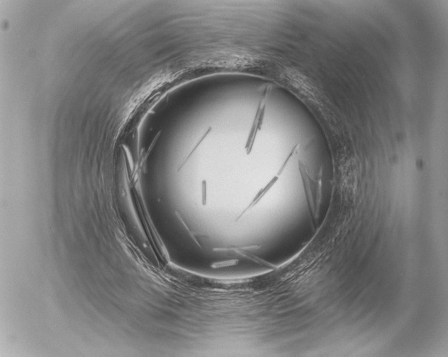 X0000055520679200508191546