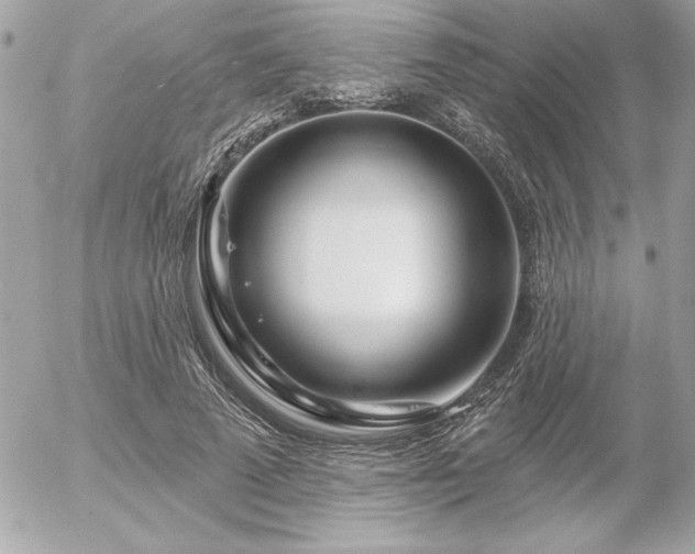 X0000055520689200508191546