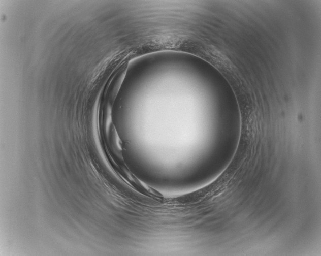 X0000055520693200508191546