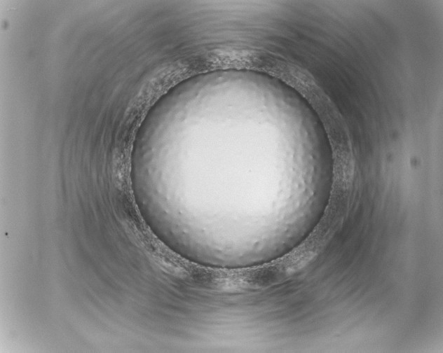 X0000055520701200508191546