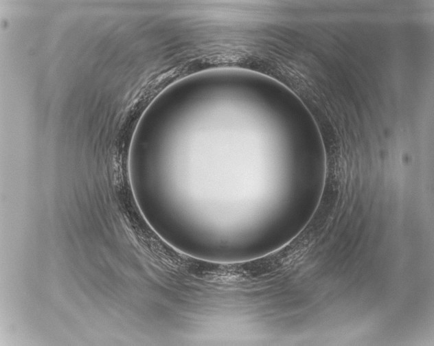 X0000055520743200508191545