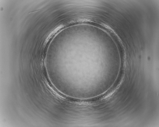 X0000055520785200508191544