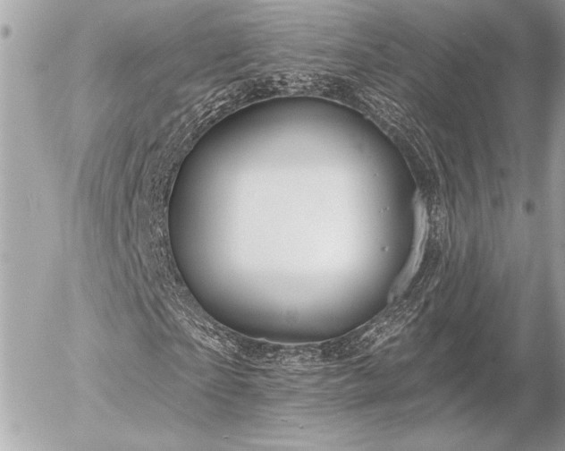 X0000055520865200508191543