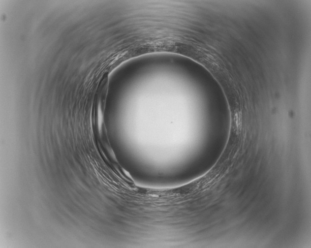 X0000055520963200508191541