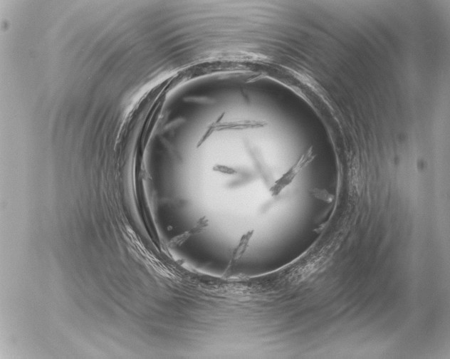 X0000055520971200508191541
