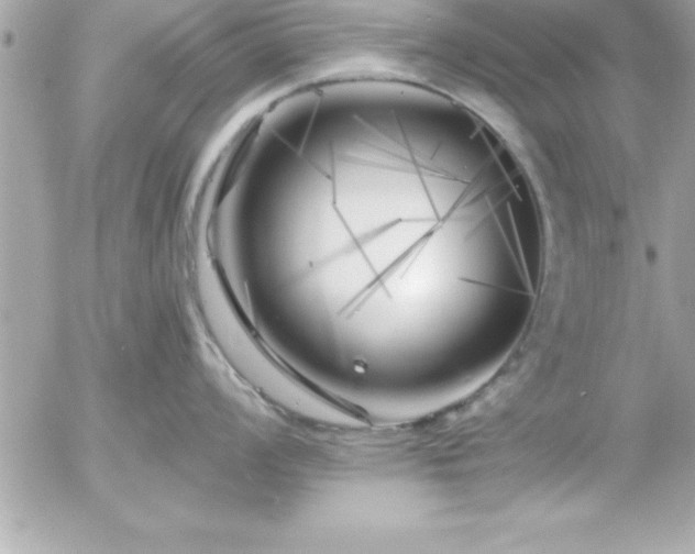 X0000055521008200508191541