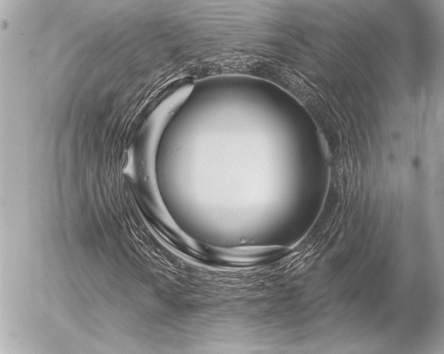 X0000055521010200508191540