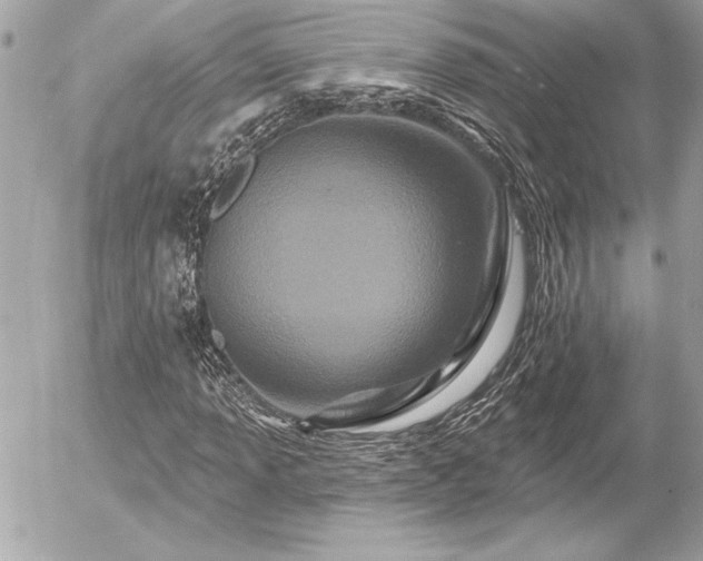 X0000055521013200508191540