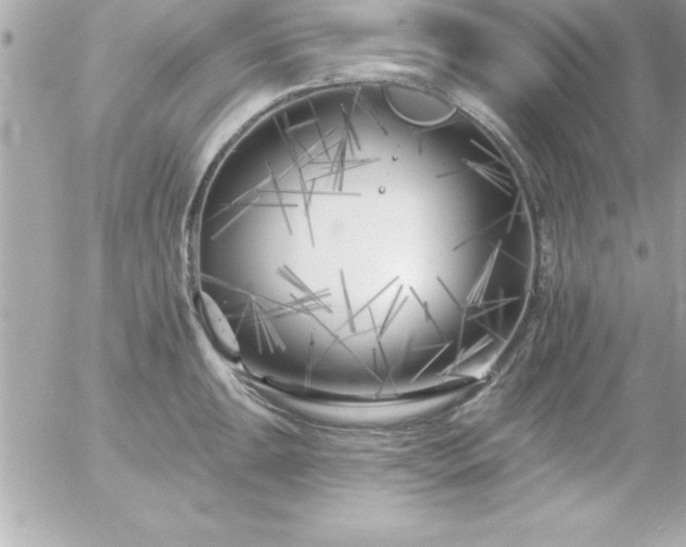 X0000055521047200508191541