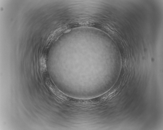 X0000055521106200508191538