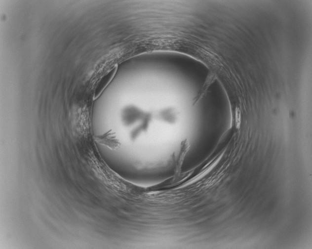 X0000055521107200508191538