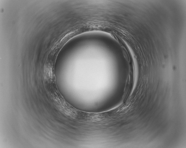 X0000055521155200508191538