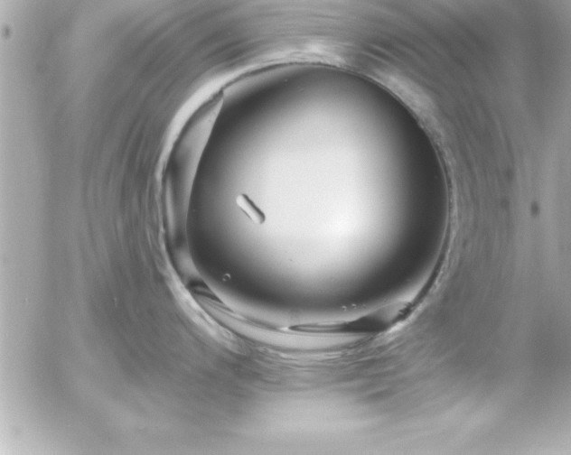 X0000055521200200508191537