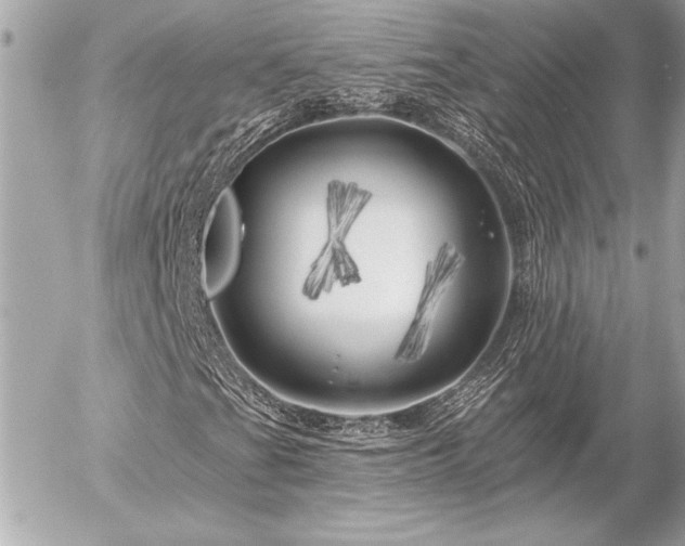 X0000055521201200508191537