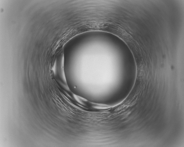 X0000055521202200508191537