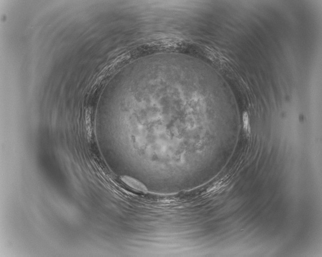 X0000055521203200508191537