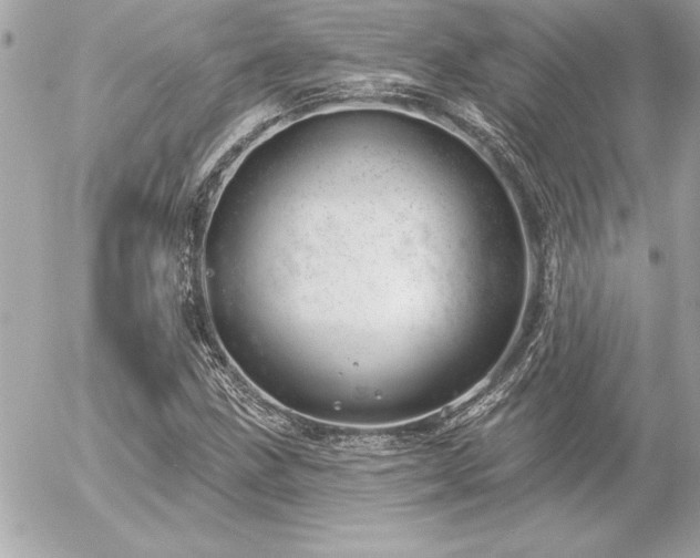 X0000055521211200508191537