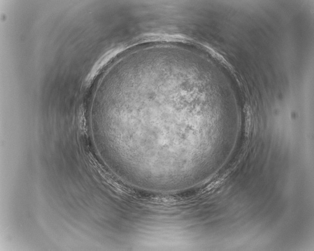 X0000055521215200508191537