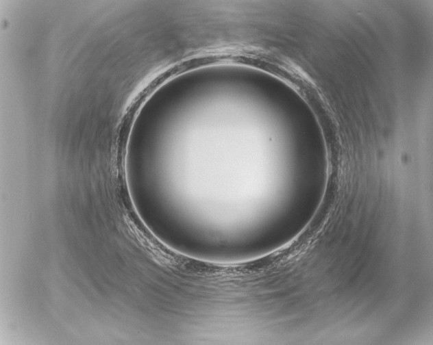 X0000055521216200508191537