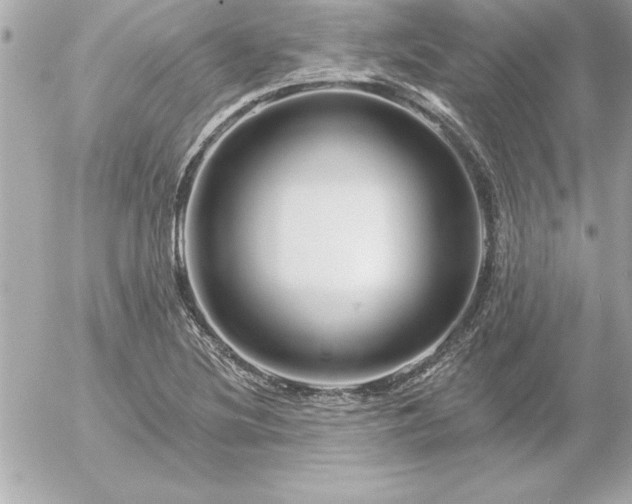 X0000055521220200508191537